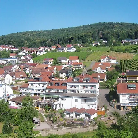 Hotel Suedpfalz-terrassen 3*